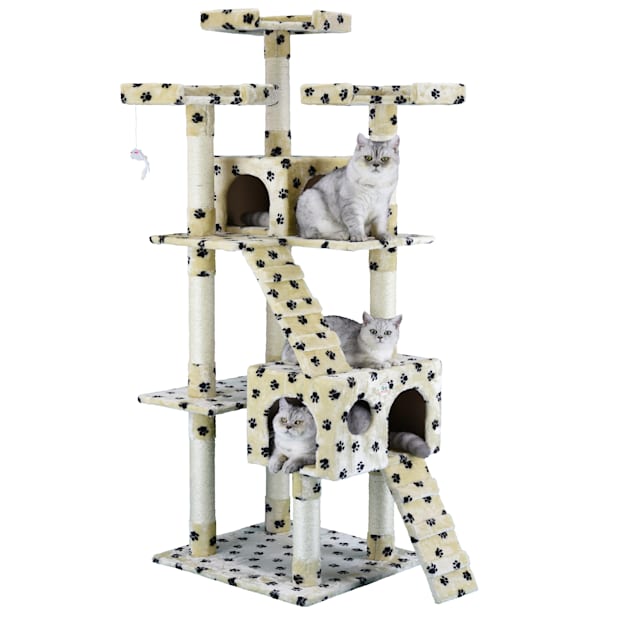 Paw print petco 2025