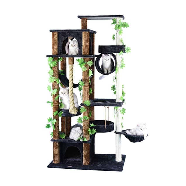 Cat condo petco shop