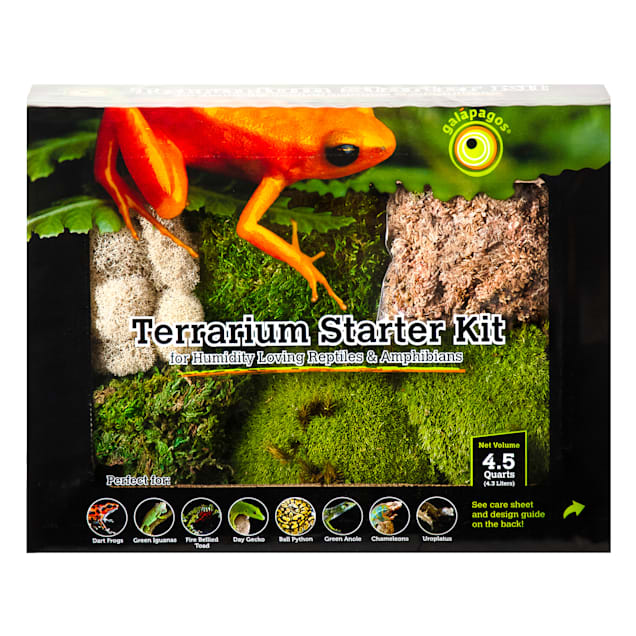 Galapagos Reptile Gear Moss Mushroom Terrarium Décor 11 in