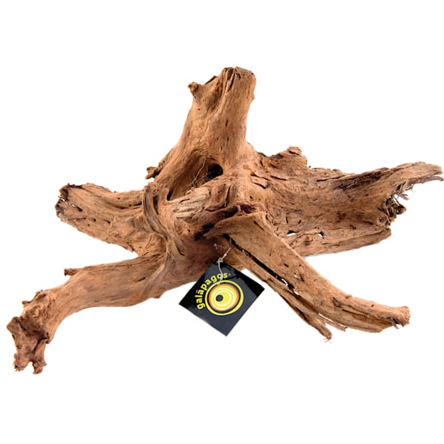 galapagos sinkable driftwood