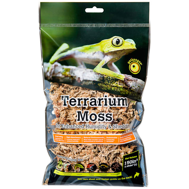 Sphagnum Peat Moss 250g - Terrarium Substrate for Amphibians or Reptiles