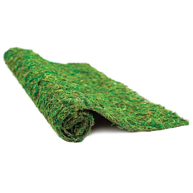 Galapagos Mossy Crashpad Large Petco