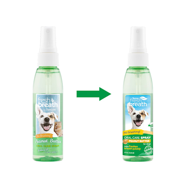 Fresh breath best sale oral care spray