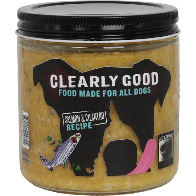 Wet Noses Clearly Good Salmon and Cilantro Recipe Wet Dog Food, 15 oz. - Carousel image #1