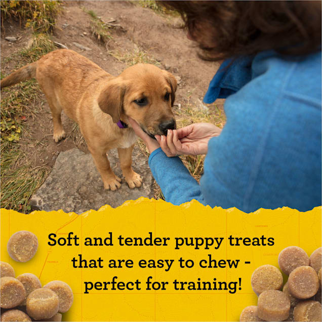 Zuke's superfood blend dog treats sale