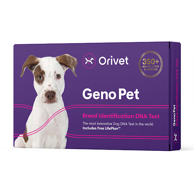 Test dogs dna top