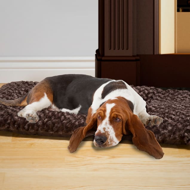 PETMAKER Chocolate Cushion Pillow for Dogs, 26" L X 41" W X 4" H - Carousel image #1