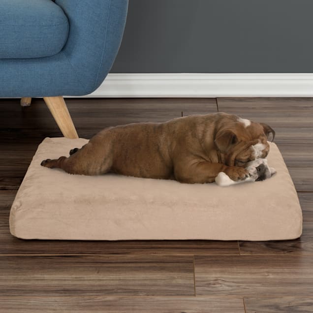 Orthopedic Dog Bed  Egg Crate Foam Pet Bed Mat - Copper-Pet Bed – Friends  Forever Pets