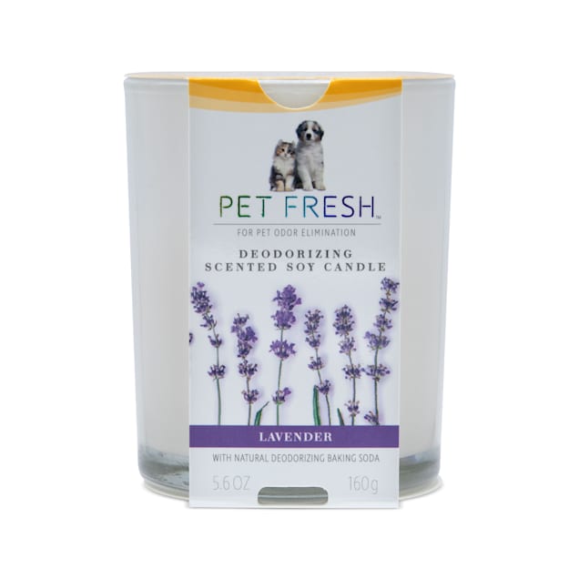 Arm & Hammer Pet Fresh Deodorizing Scented Soy Candle Lavender for Dogs and Cats, 5.6 fl. oz. - Carousel image #1