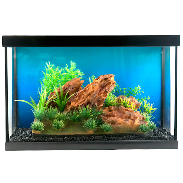 Petco aquarium decorations sale