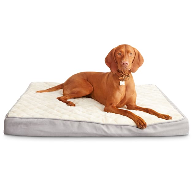 Harmony Gray Orthopedic Lounger Dog Bed, 40" L X 30" W - Carousel image #1