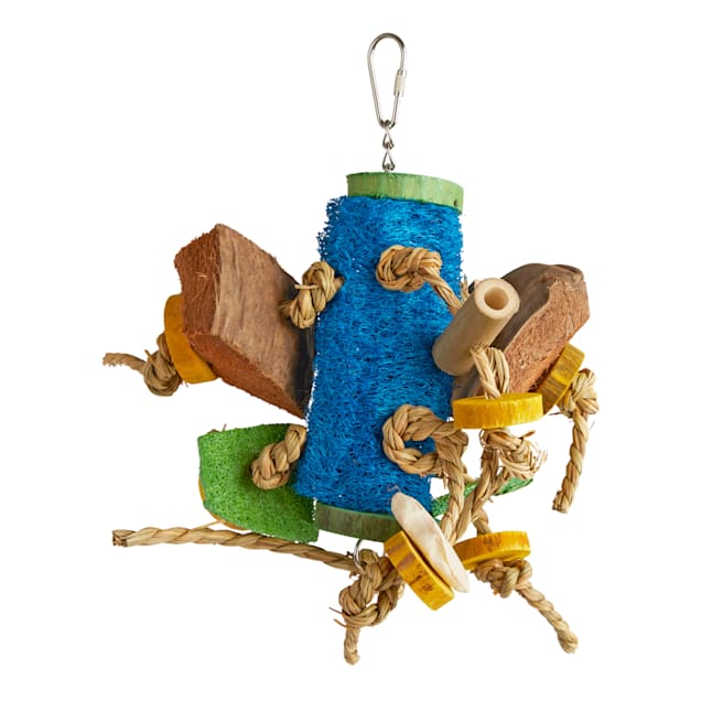 Fun bird hot sale toys