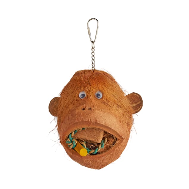 You Me Coconutty Monkey Foraging Bird Toy Large Petco