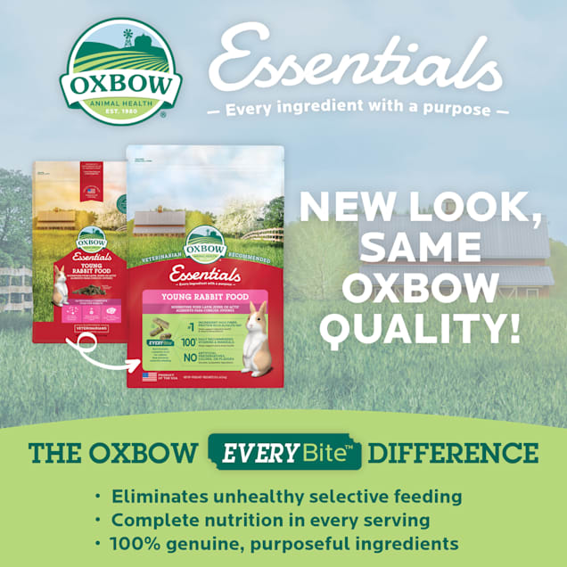 Oxbow rat food petco 2025