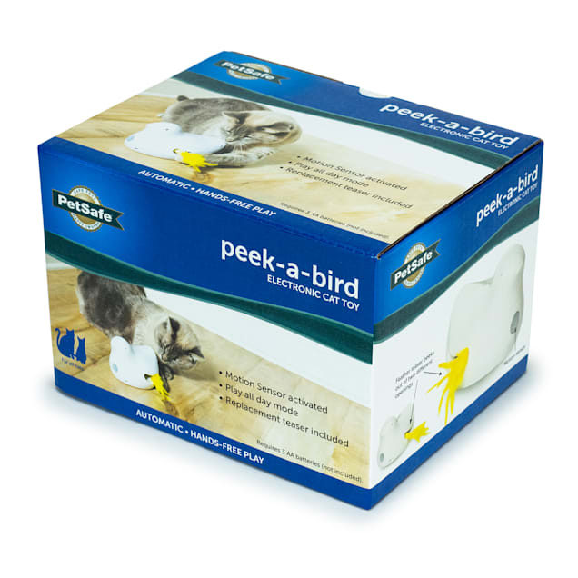 PetSafe Peek A Bird Electronic Cat Toy Small Petco