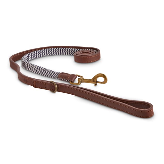 Reddy dog lead clearance