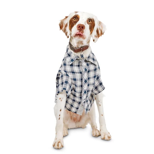 white dog shirt