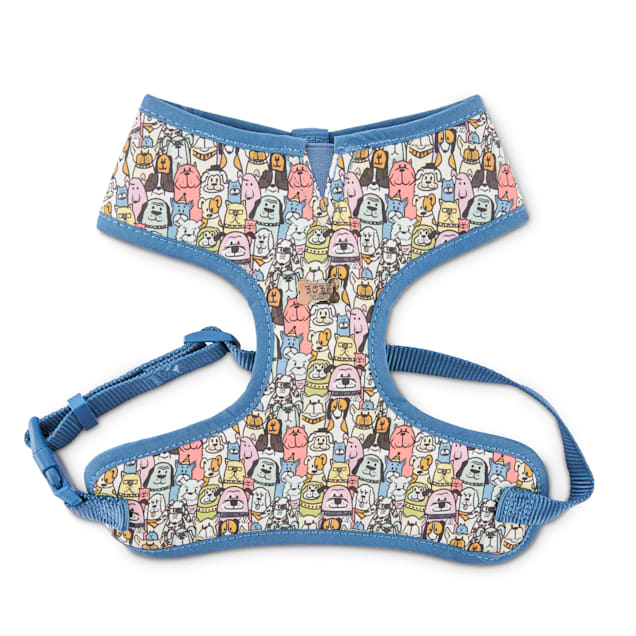 skechers bobs dog collar