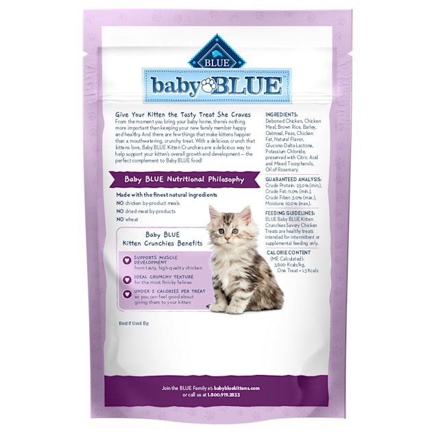 Best kitten treats for training 2025