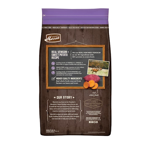 Best merrick dog food 2025