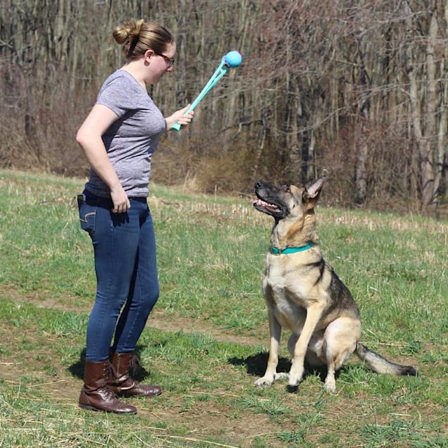Lattice store ball launcher