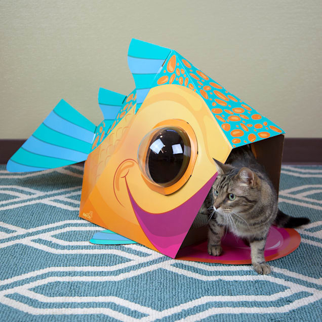 Whisker city cat dome 2025