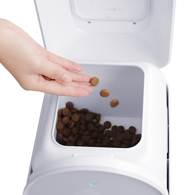 Dogness top smartcam feeder