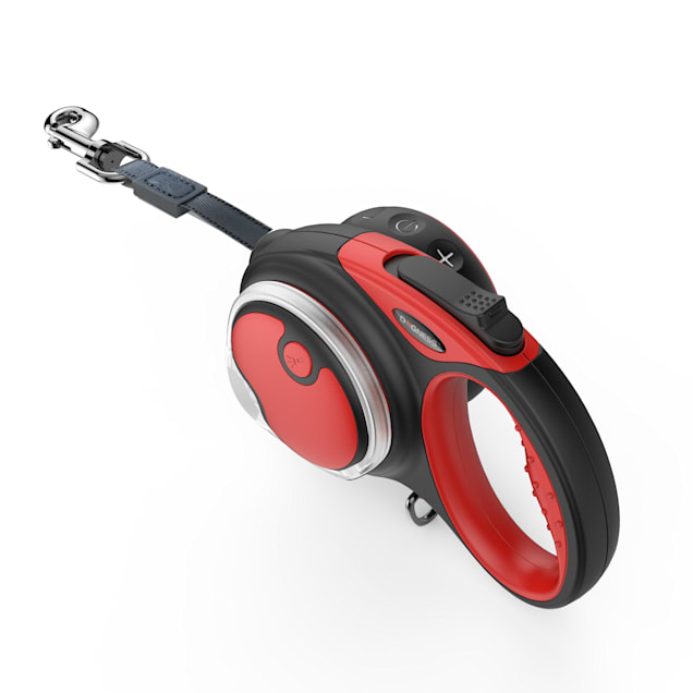 Smart retractable leash set store