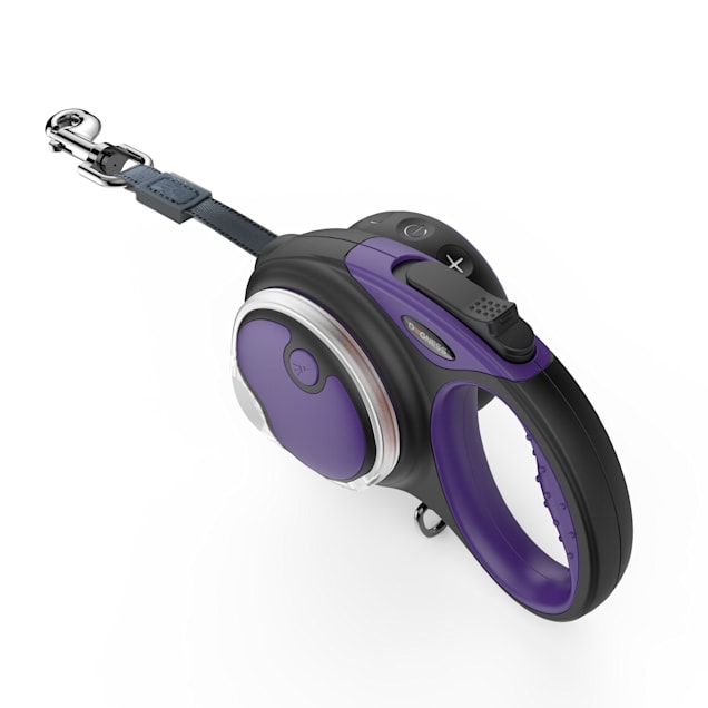 Smart retractable dog leash 2025