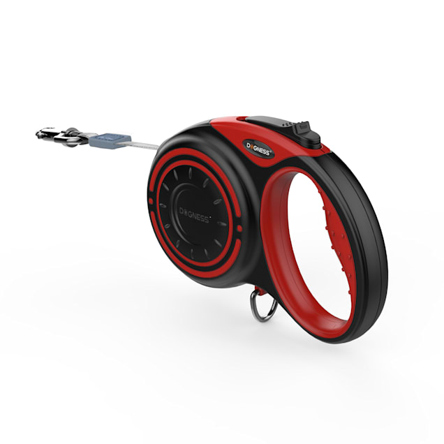 Smart leash for dogs deals
