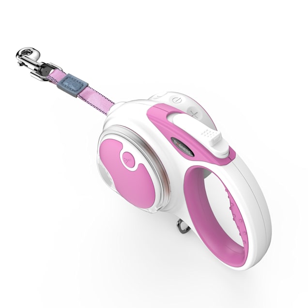 Dogness smart leash clearance