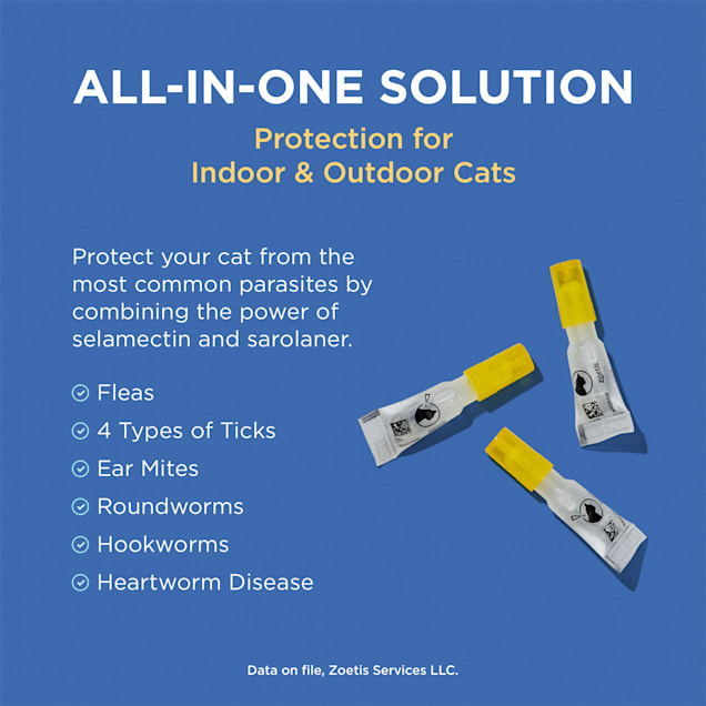 Revolution plus for cats outlet
