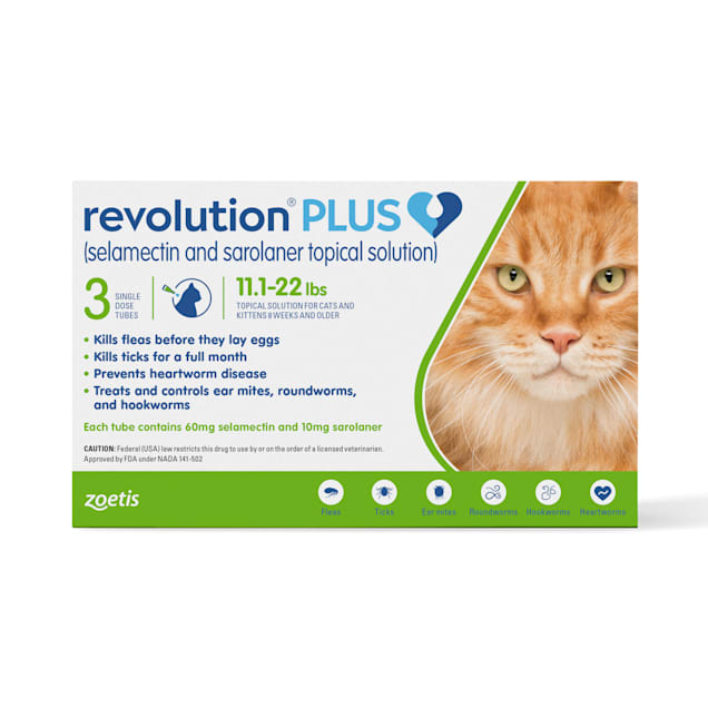 56 Office Revolution plus for cats side effects Trend in 2022