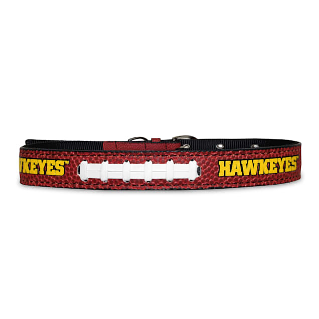 Pro collar for dogs online