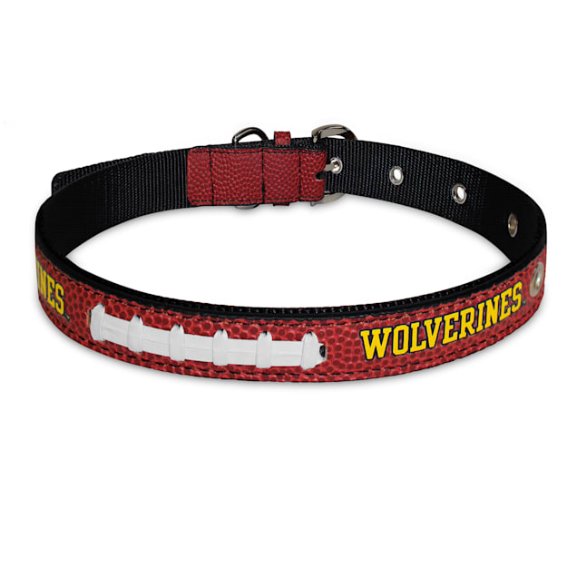 Pro collar for dogs discount