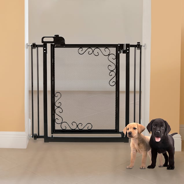 Mesh dog door discount