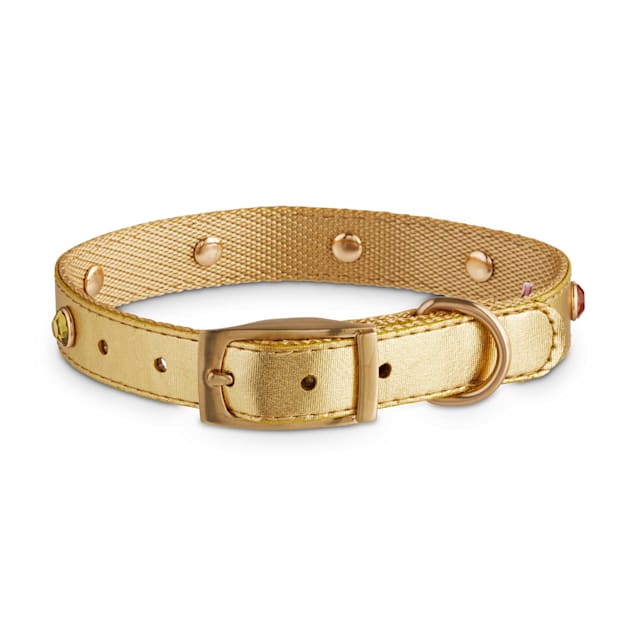 Infinity dog collar clearance