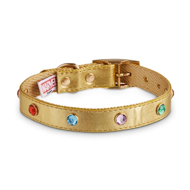 Infinity dog collar clearance