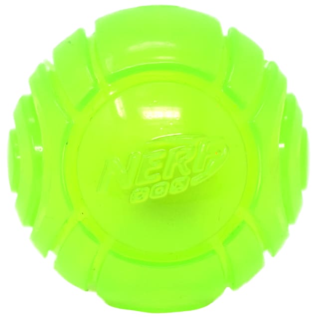 Nerf dog 2025 sonic ball