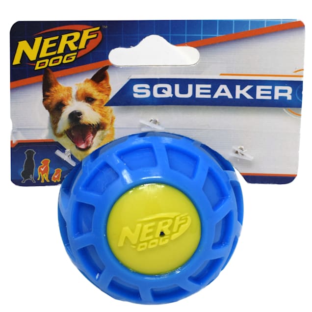 Nerf dog 2025 squeaker ball