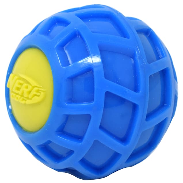 Nerf Blue Green TPR EXO Squeak Ball Dog Toy Small Petco