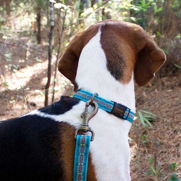 Pendleton dog accessories new arrivals