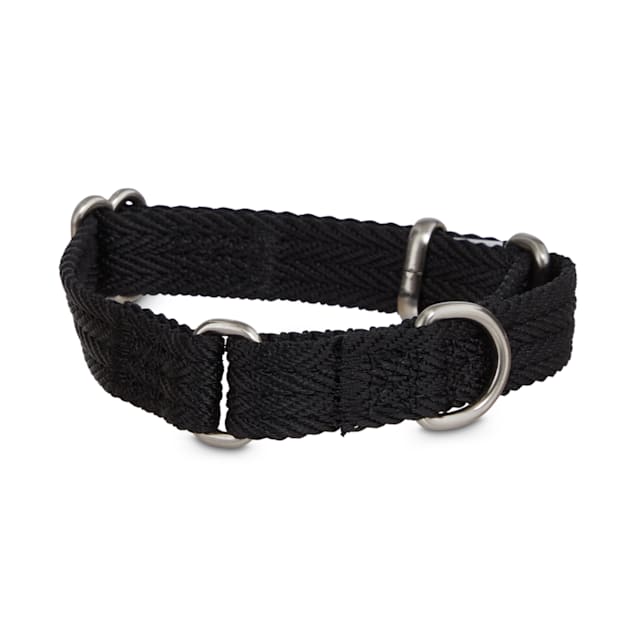 Good2Go Black Martingale Dog Collar, X-Small - Carousel image #1