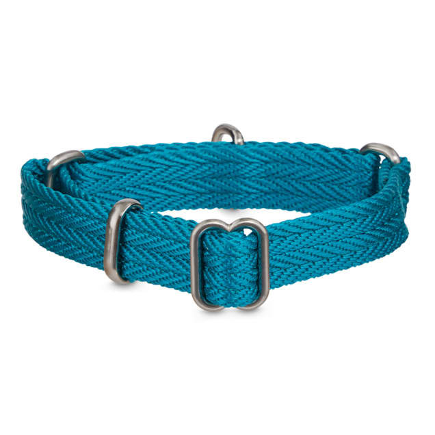 Good to go martingale collar Clearance