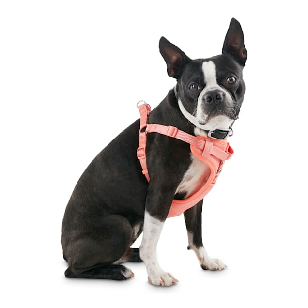 Step-In Dog Harness