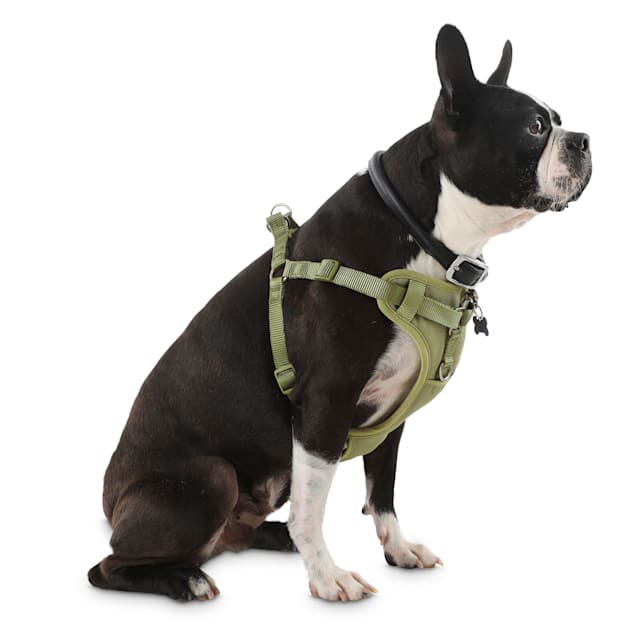 sidde Dolke Måge YOULY The Champion Olive Padded Step-In Dog Harness, Large | Petco