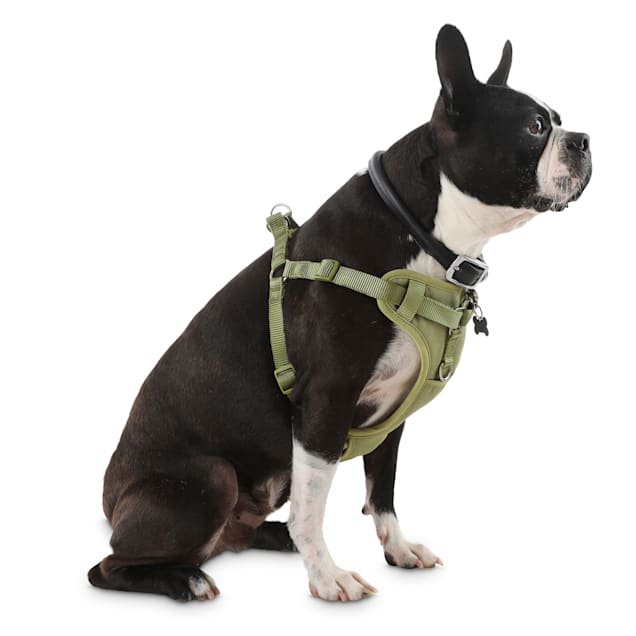 Pet champion step deals in harness