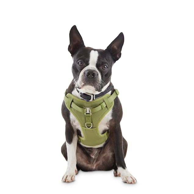 Petco dog leads Clearance