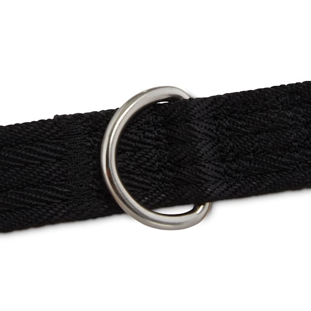 Good2go retractable dog leash clearance