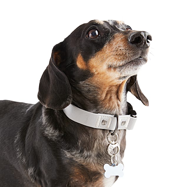 Reddy Grey Durable Dog Collar, Small